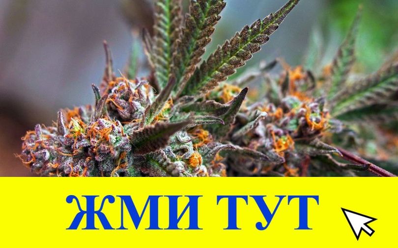 Купить наркотики в Мичуринске